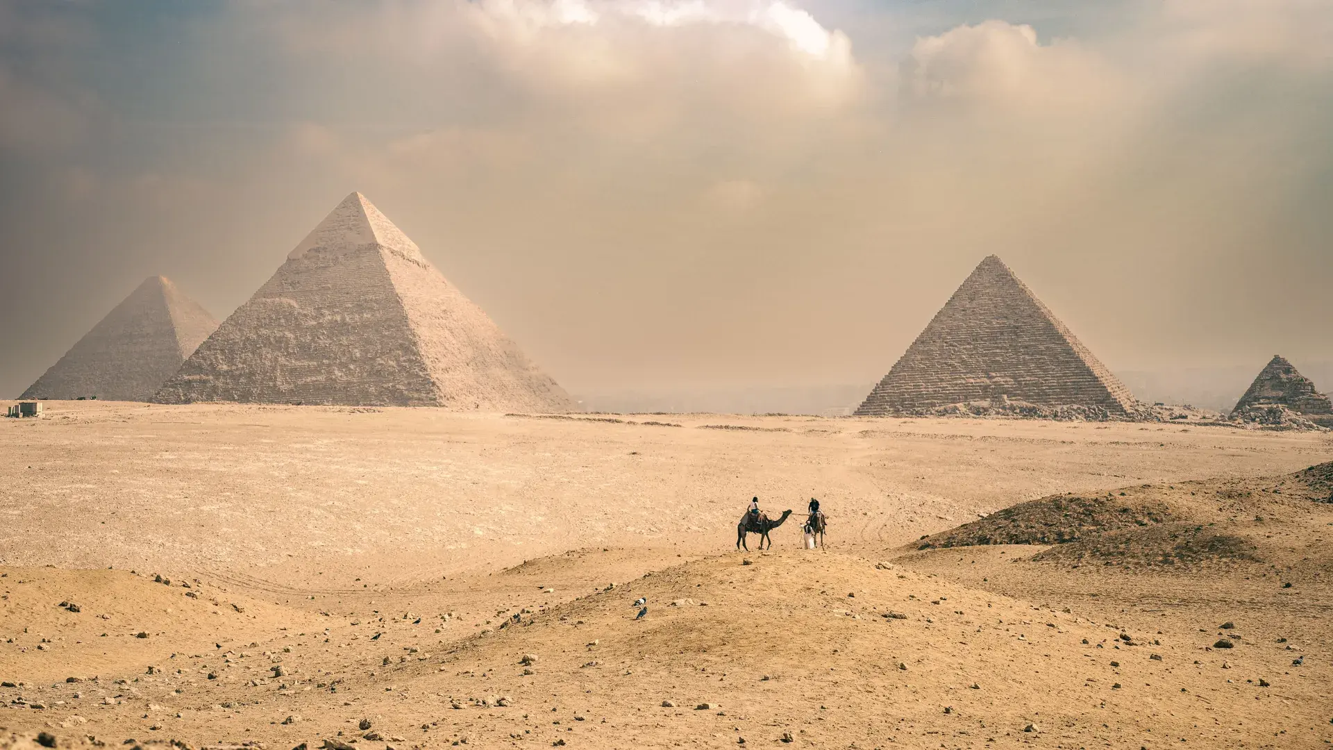 مصر